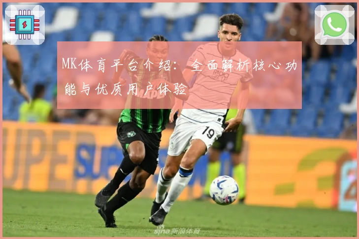 MK体育平台介绍：全面解析核心功能与优质用户体验
